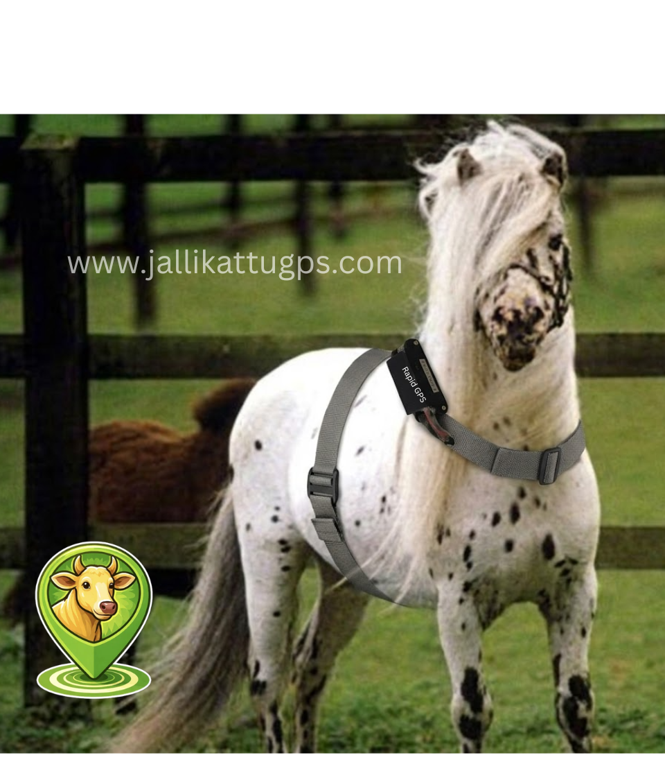 Falabella Horse