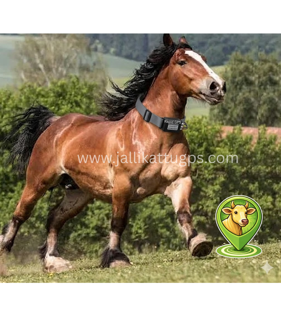 Breton Horse