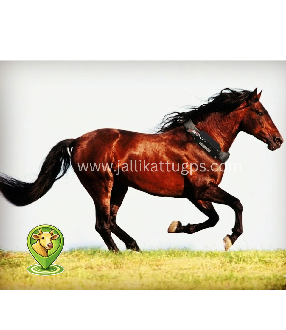 Nisean Horse