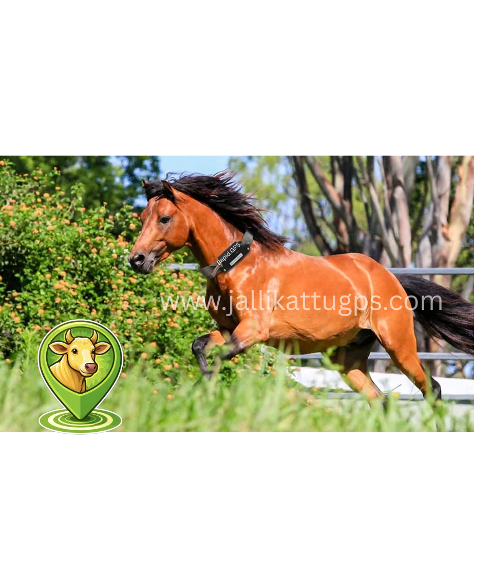 Caspian horse