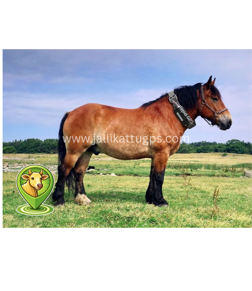 Ardennais Horse
